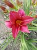 20150623_164823 - Copy