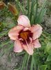 20150623_164843 - Copy