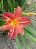 20150623_165152 - Copy