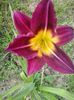 20150623_165233 - Copy