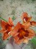 20150623_165759 - Copy