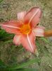20150624_180822 - Copy