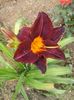 20150624_181434