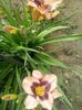 20150624_181605
