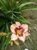 20150624_181607
