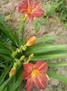 20150624_181709