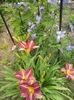 20150625_144746