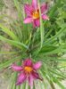 20150625_145228