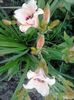 20150627_062337