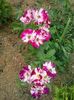 20150619_123310