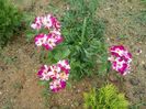 20150619_123314