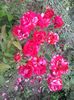 20150619_191754