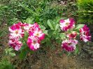 20150619_082724