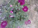20150622_200425