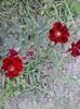 20150623_164908