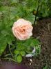 20150617_155729