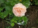 20150617_155734
