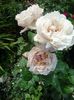20150619_082420