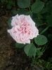 20150619_073813