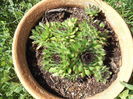 DSCF2654