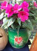 DSCF2663