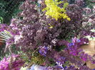DSCF2665