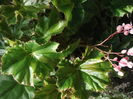 DSCF2672