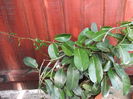 DSCF2685