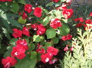 DSCF2719