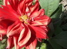 DSCF2722
