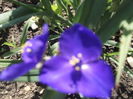 DSCF2727