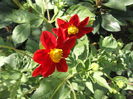 DSCF2732