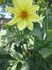DSCF2734
