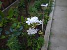 IMG_20150627_103118