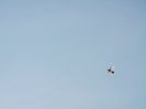 Picture 6142