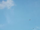 Picture 6143