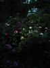IMG_20150528_205645