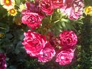 IMG_20150608_184605