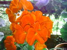 IMG_20150627_183721