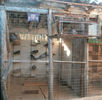 APDC0850