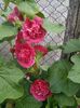 IMG_20150618_190743