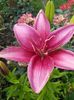IMG_20150618_190924