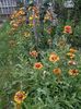 IMG_20150618_191036