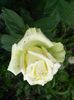 IMG_20150618_190904