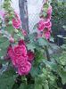 IMG_20150620_204635