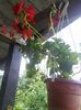 IMG_20150620_204909