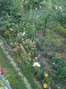 IMG_20150620_205025