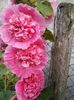 IMG_20150622_210902