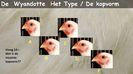 10603569_795194437262238_3475822110303419981_n