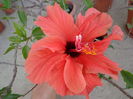 DSC08388